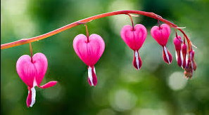 9 Stunning Cool Flowers + Inspiring AI Nature Visuals cool flowers