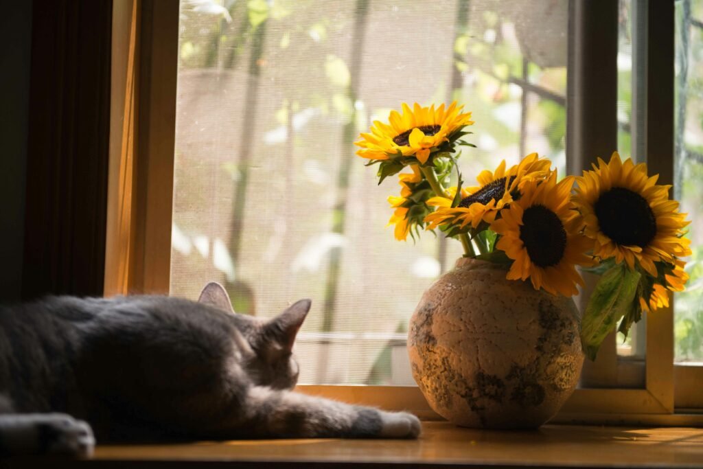 Rare Indoor Plants to Grow in 2025 for Your Home rare indoor plants