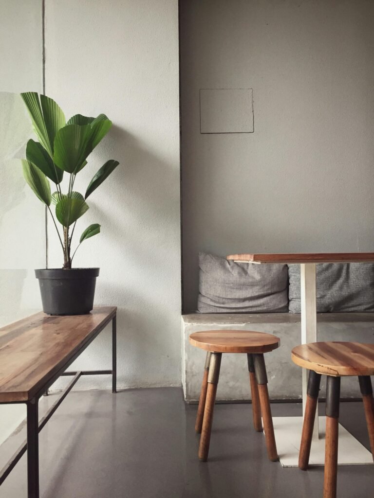 rare indoor plants