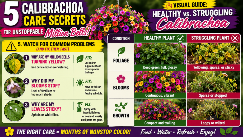 How to Grow Calibrachoa: 5 Secrets to Keep Million Bells Blooming All Summer