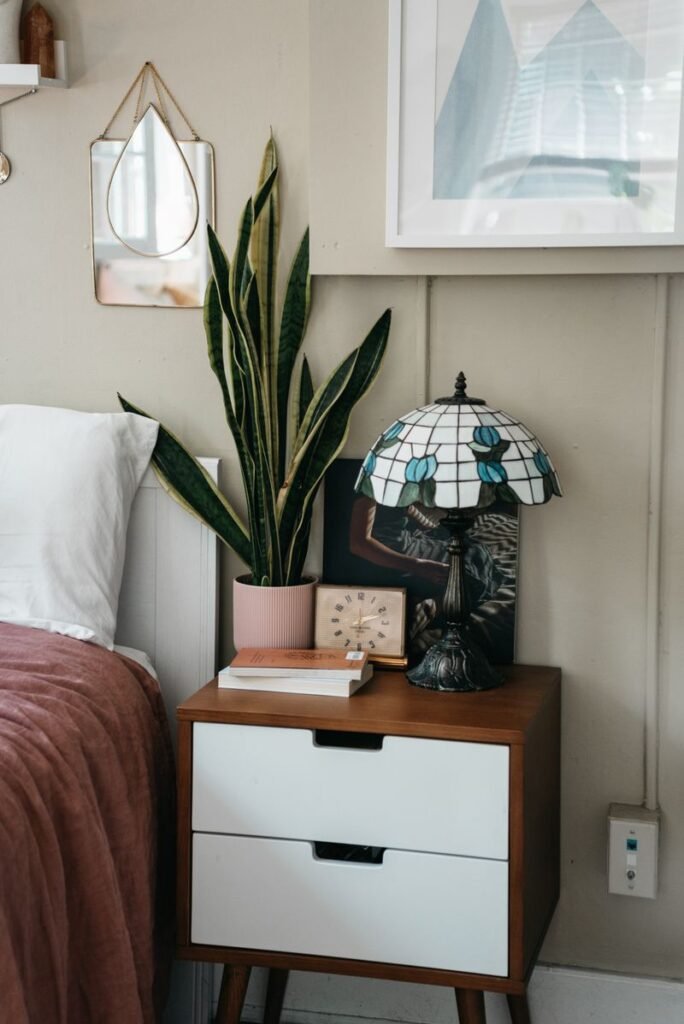 The Snake Plant: Your Ultimate No-Fail Guide to Benefits, Care & Propagation