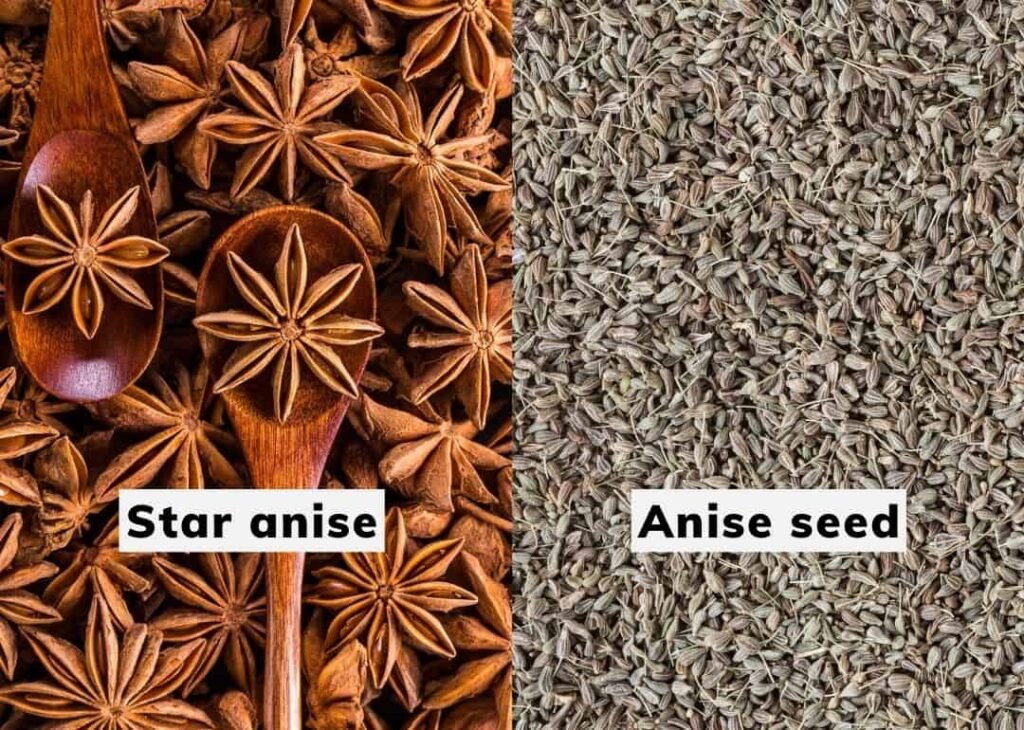 Which Anise Is Right For Your Recipe?