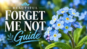 Forget me not flowers blooming with delicate blue petals and green foliage in a beautiful garden