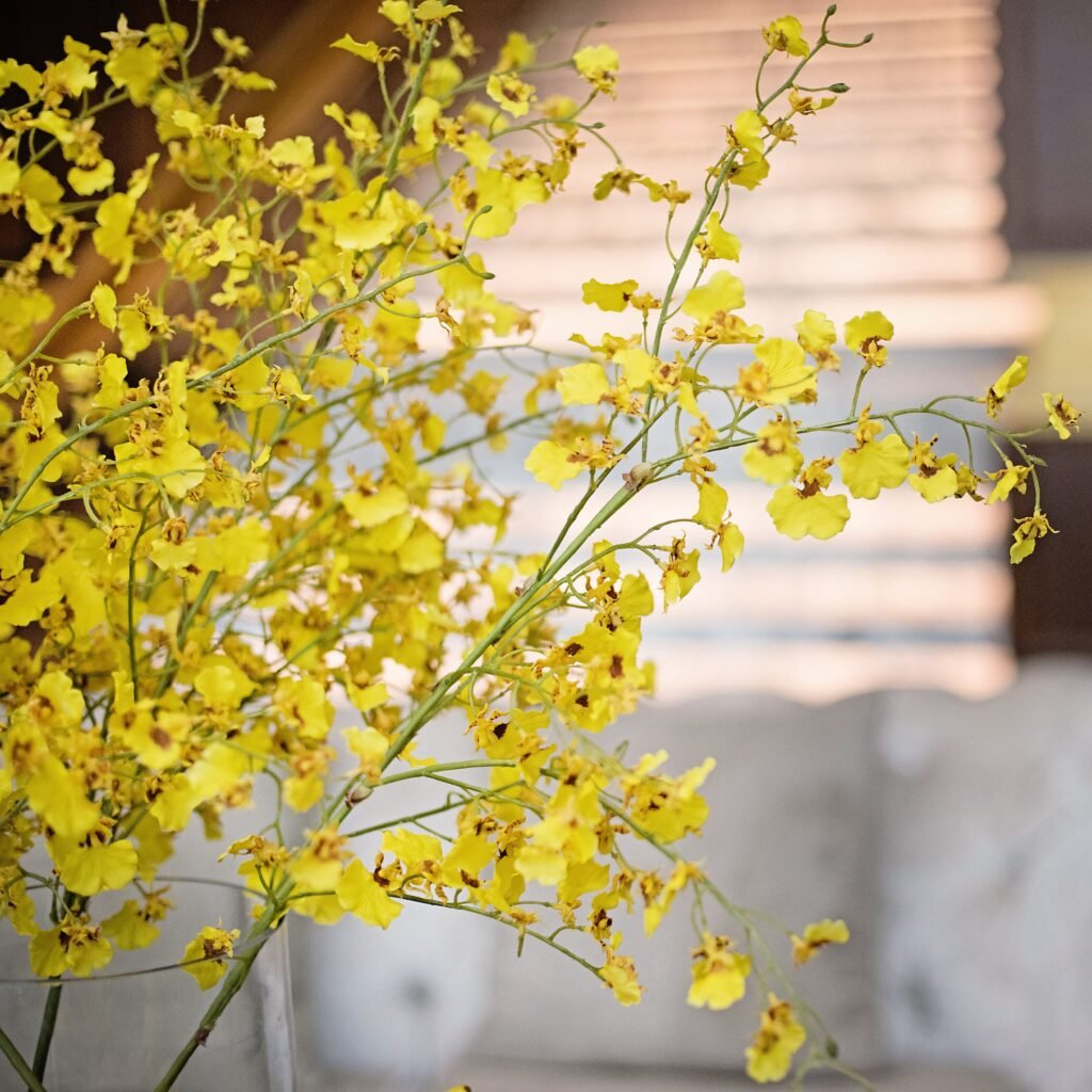 12 Most Popular Orchids: Beautiful Types to Grow at Home